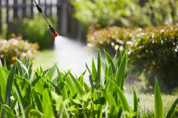 24/7 Emergency Ant Control experts in Yorktown, TX