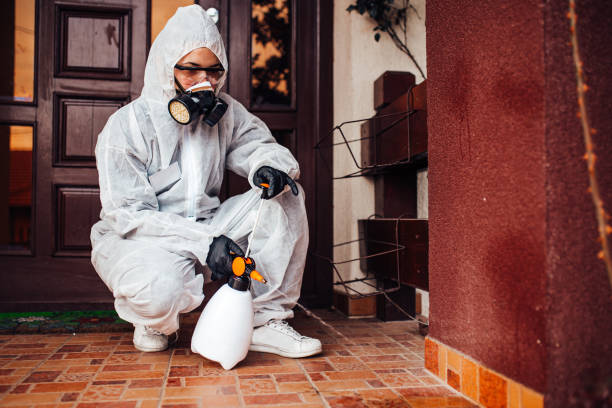 Reliable Ant Control contractor in Yorktown, TX by Show Me Pest Control
